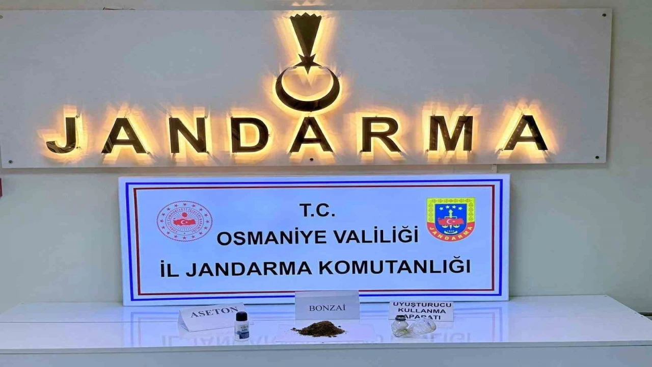 Osmaniyede jandarmadan patlayıcı ve silah operasyonu