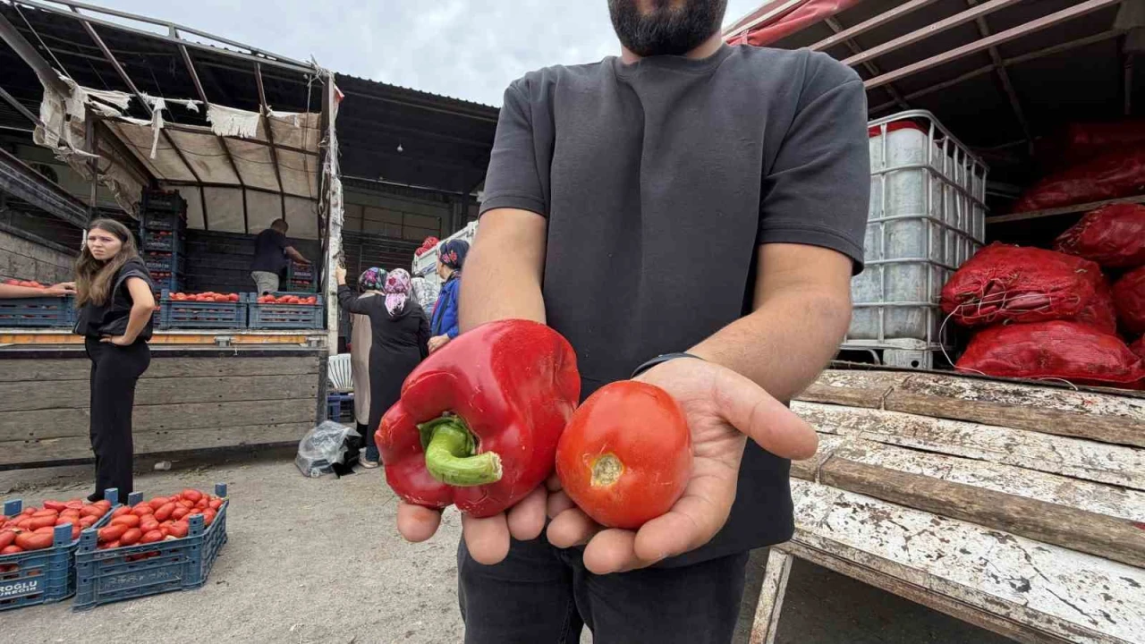 Osmaniyeli kadınların salça ve konserve mesaisi başladı