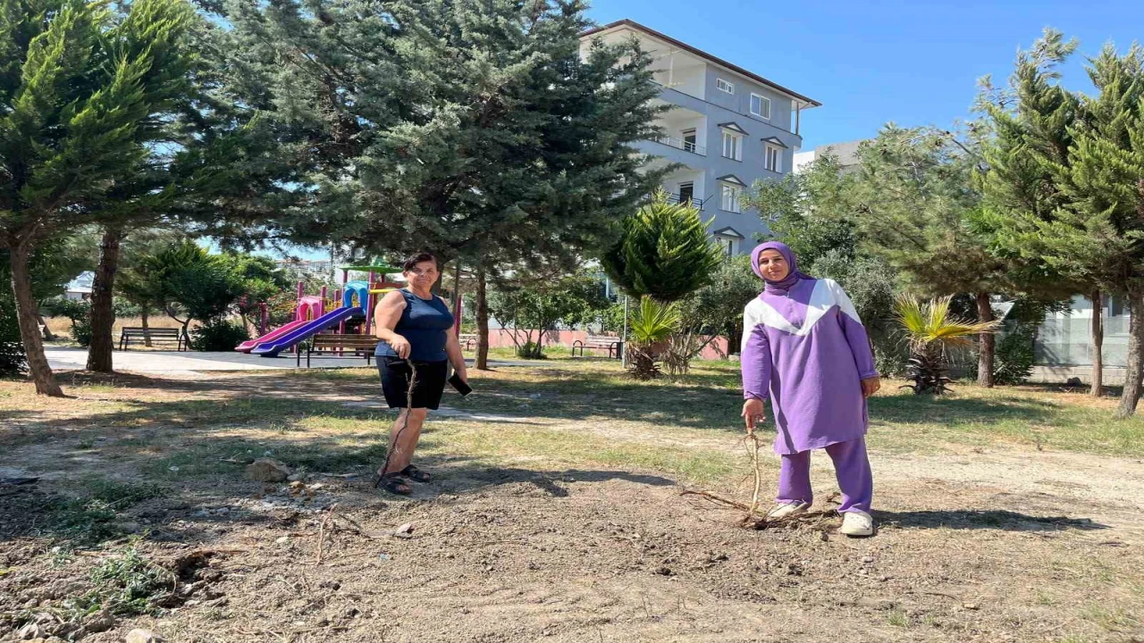 Parktaki ağaçların sökülmesine vatandaşlardan tepki