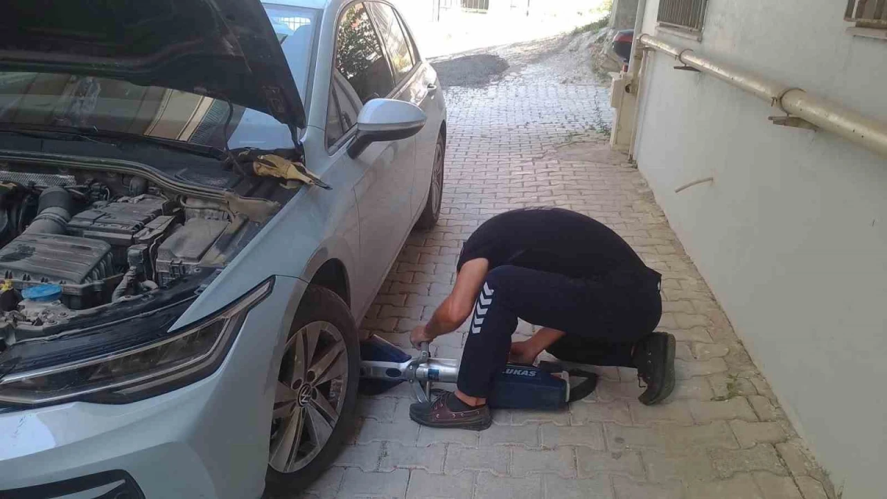 Reyhanlı ve Defnede mahsur kalan kediler kurtarıldı
