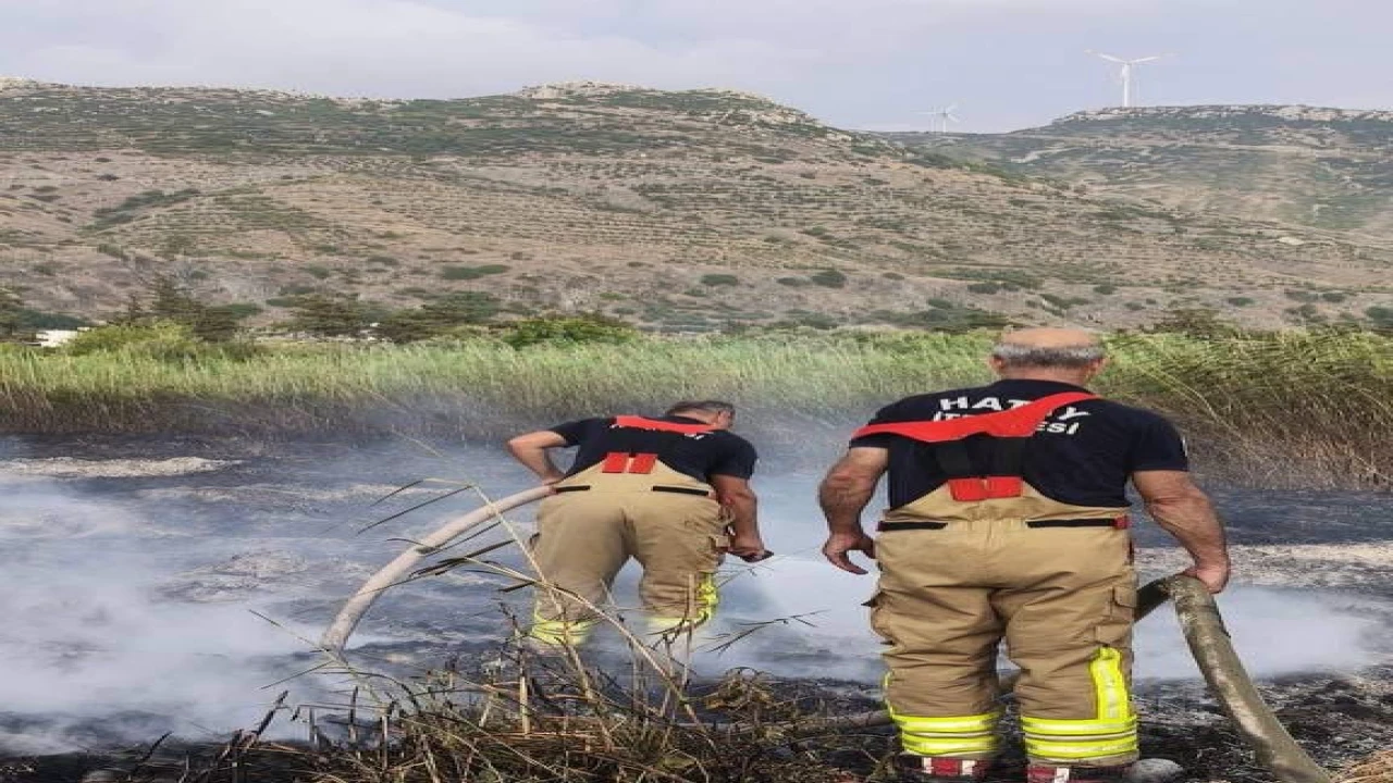 Samandağda bahçe yangını büyümeden söndürüldü