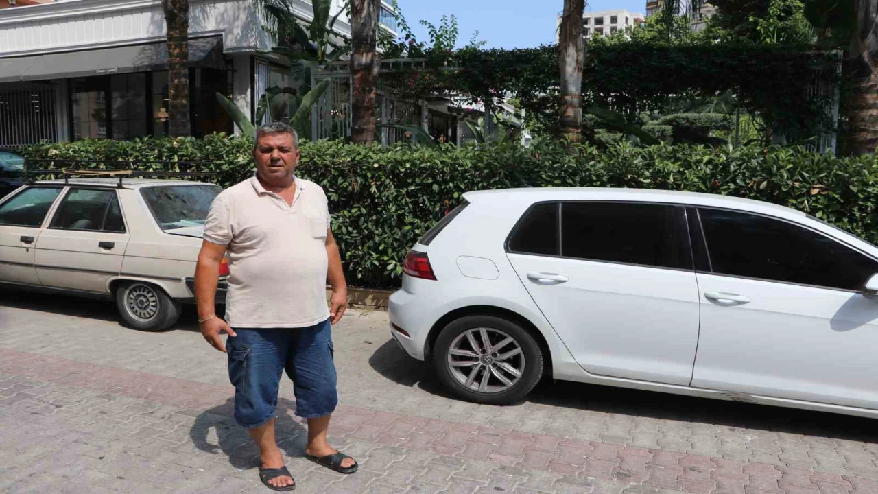 Telef olan kediyi besleyen vatandaşlardan pitbullun sahibine tepki