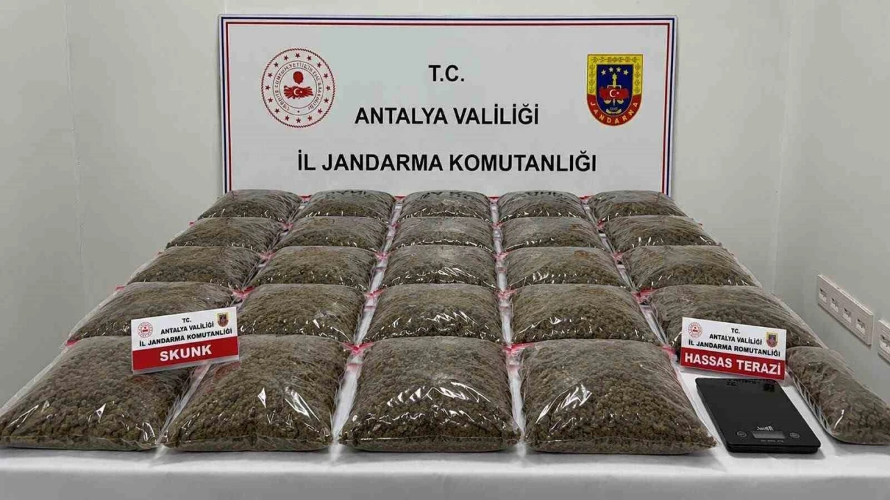 Uyuşturucu operasyonunda 13 şüpheli yakalandı