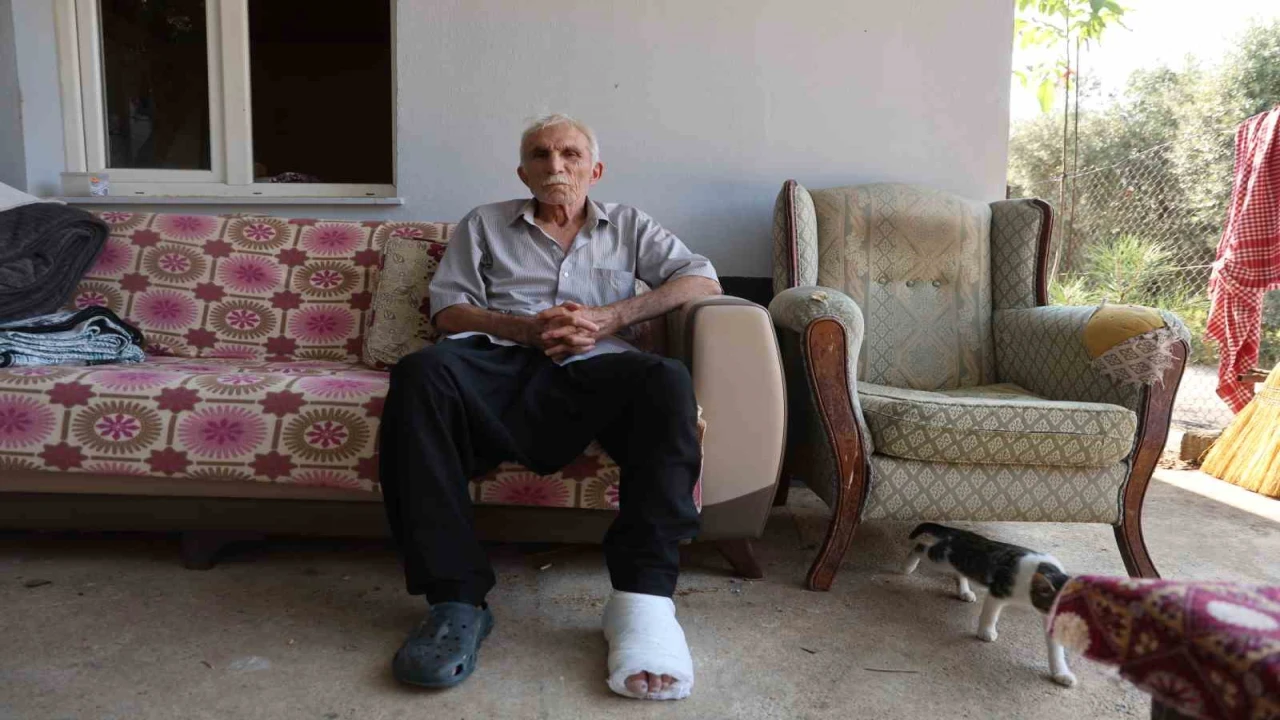 Yaşlı adama çarpıp hiçbir şey olmamış gibi yoluna devam etti