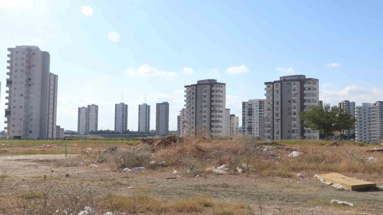 Adanada cırcır böceği sesleri vatandaşları uyutmuyor