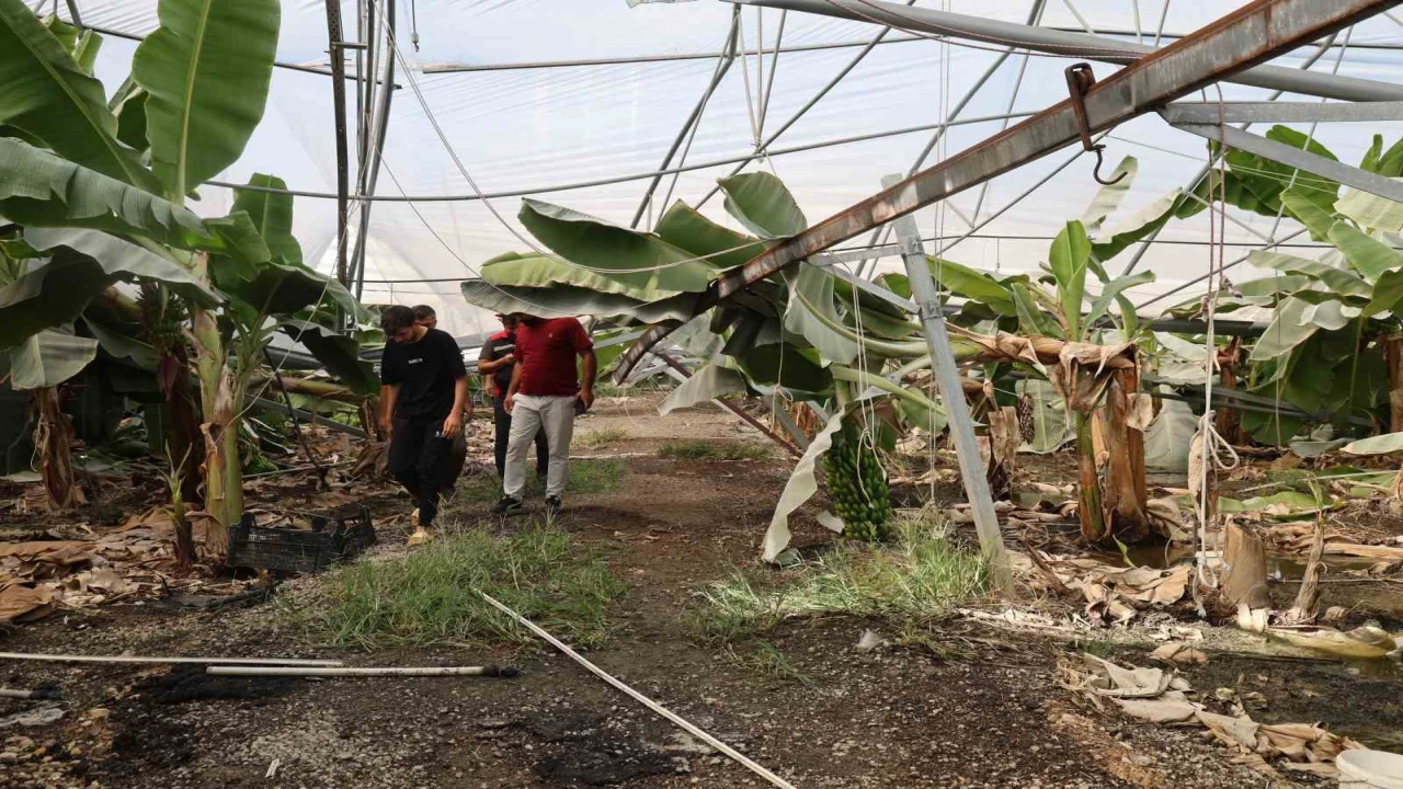 Adanada fırtına çatıları uçurdu, muz serasında direkler devrildi