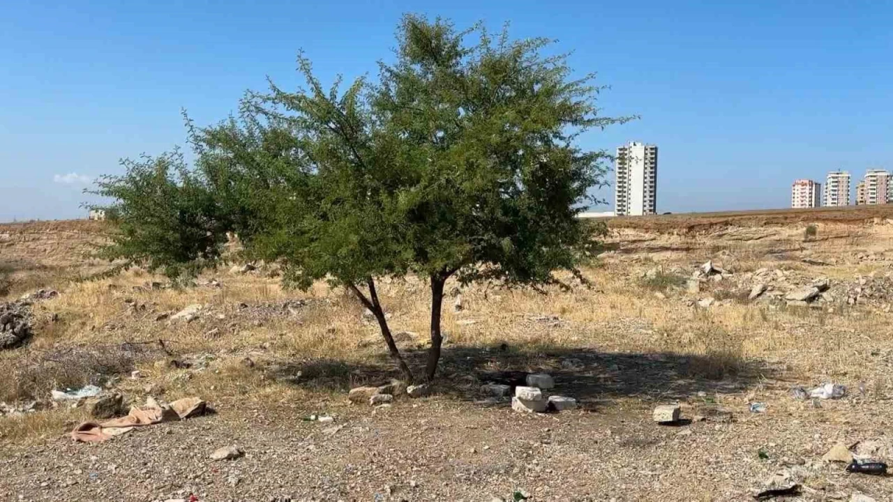 Adanada genç şahıs boş arazide ölü bulundu