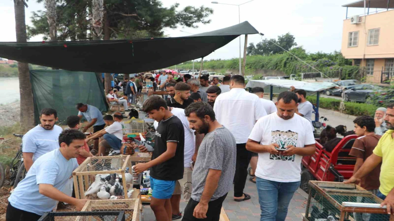 Adanada kuş meraklıları kuş pazarında buluşuyor