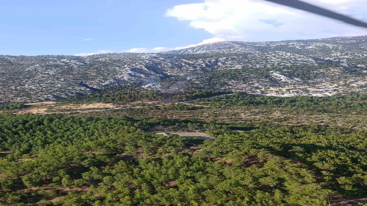 Aksekideki orman yangını kontrol altına alındı
