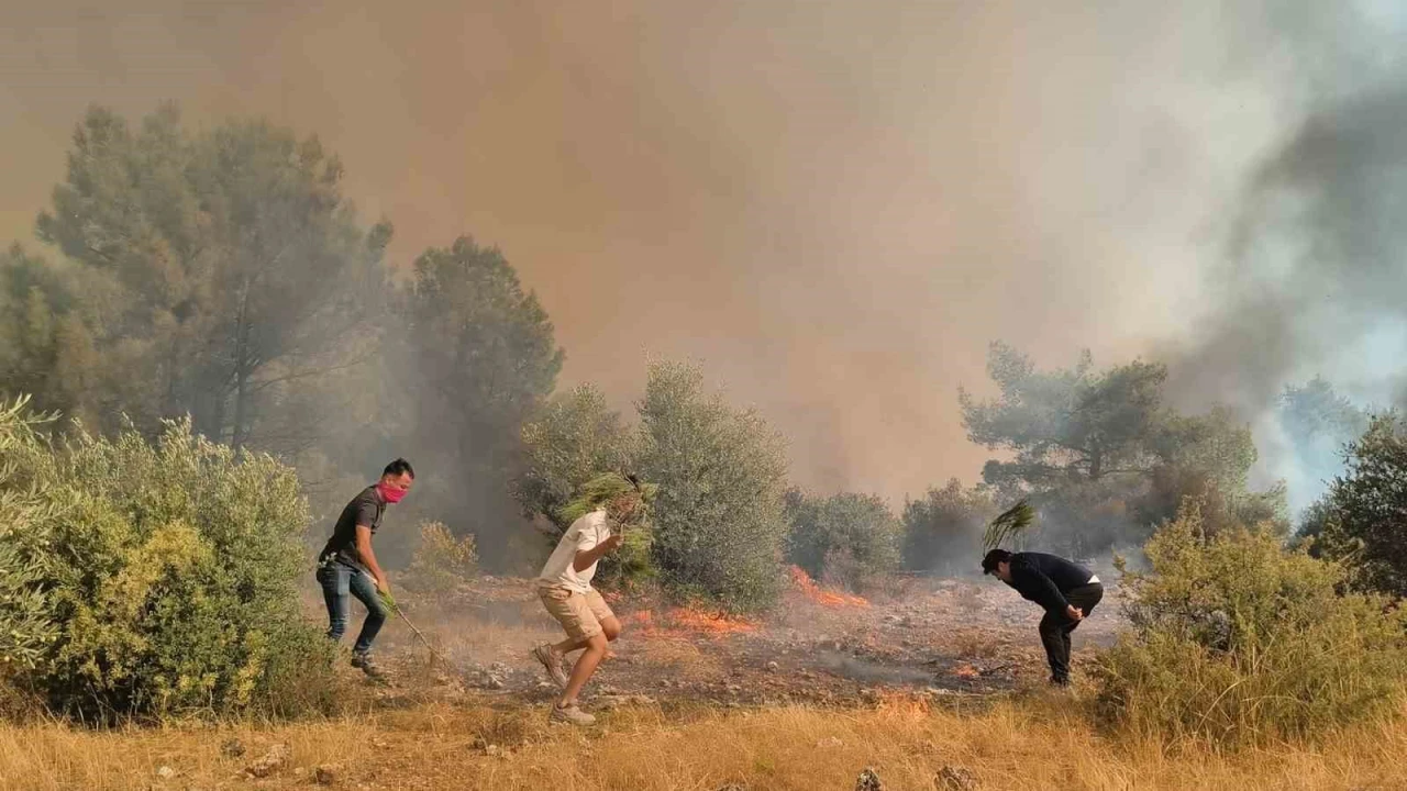Aksudaki orman yangınının kontrol altına alma çalışmaları devam ediyor