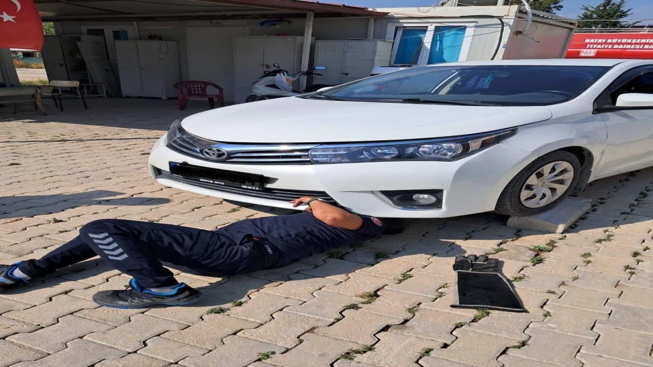 Antakya ve İskenderunda araçlarda mahsur kalan kediler kurtarıldı
