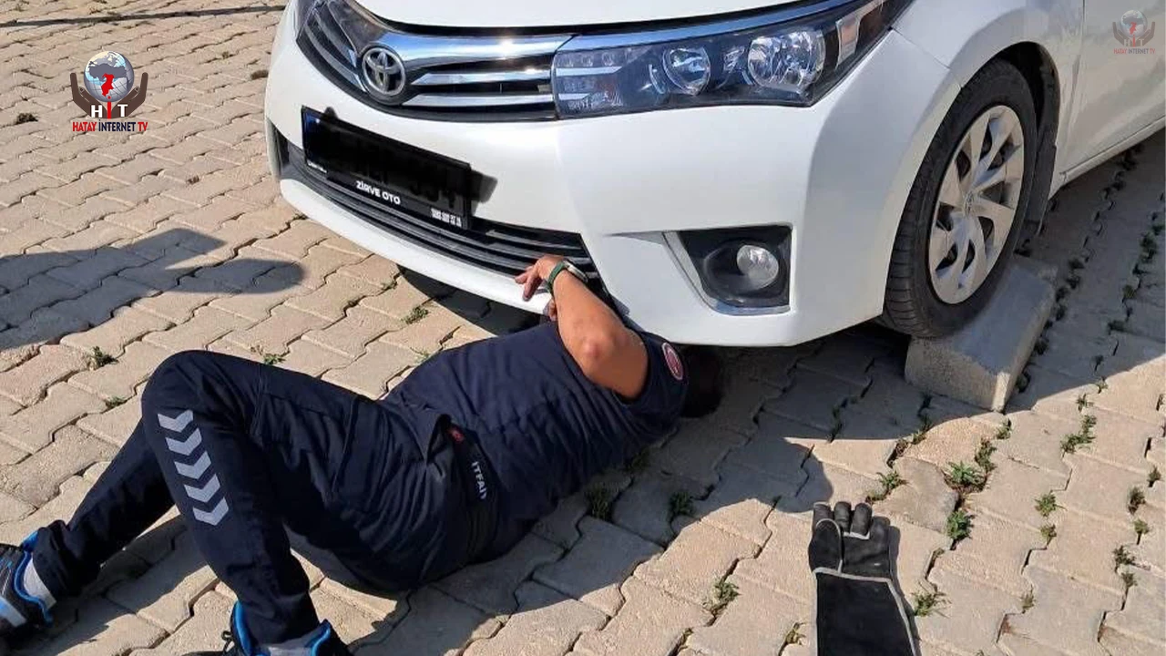 Antakya ve İskenderunda araçlarda mahsur kalan kediler kurtarıldı