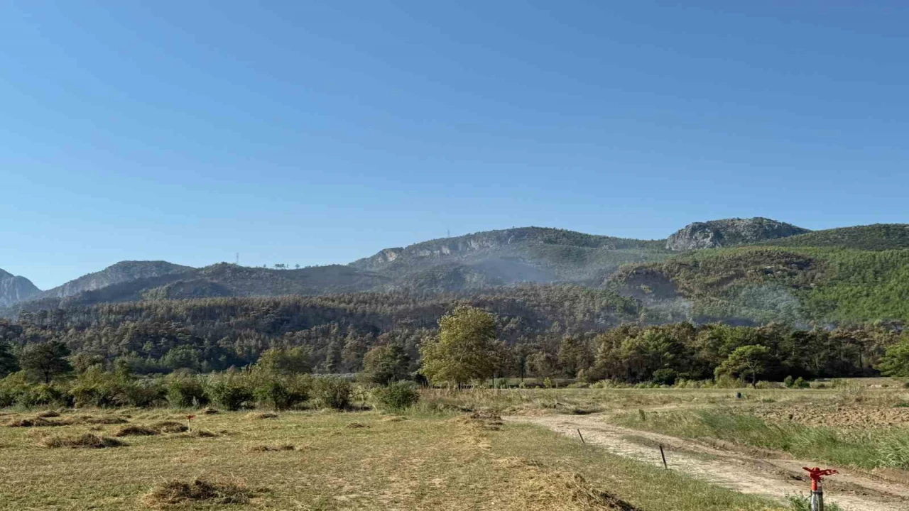 Antalya Serikteki yangın büyük oranda kontrol altına alındı