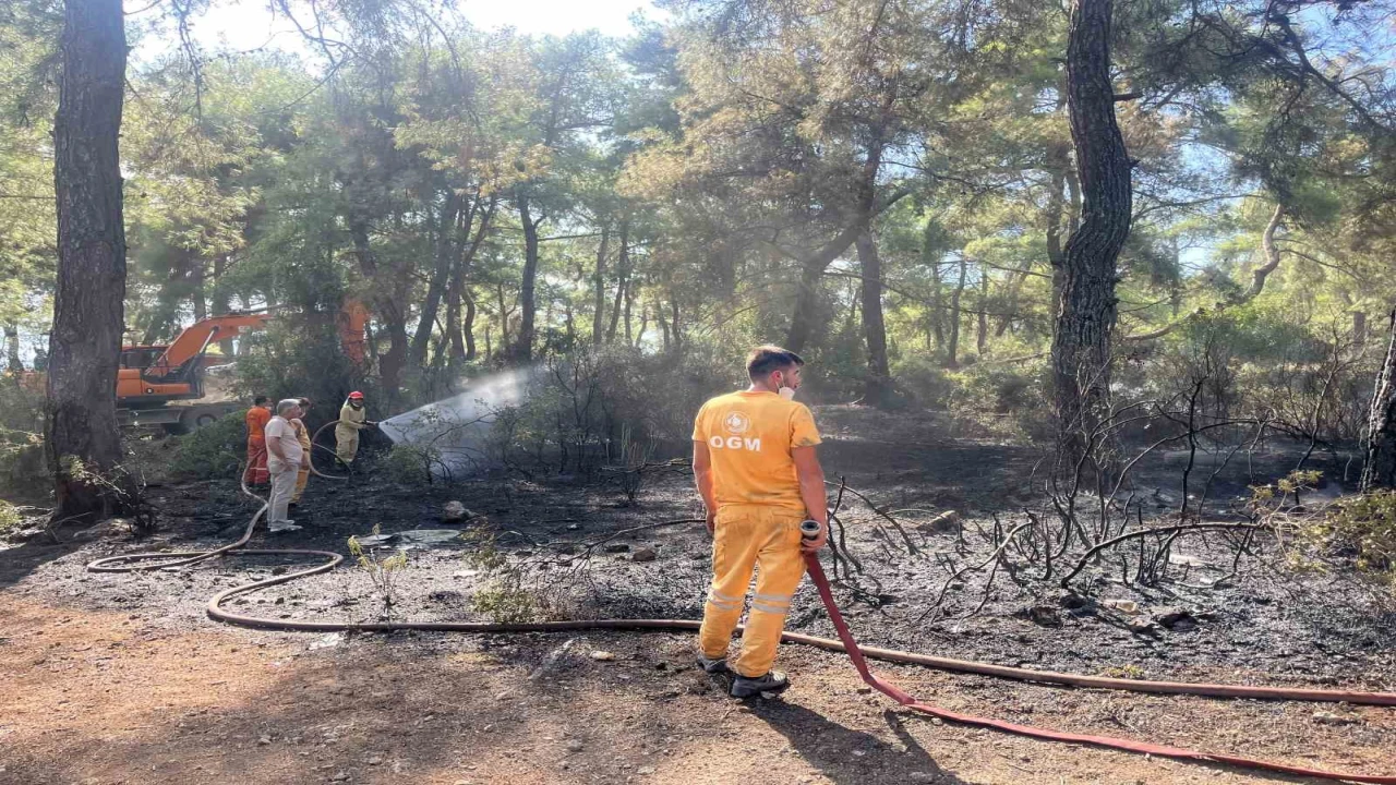 Antalyada çıkan orman yangın kontrol altına alındı