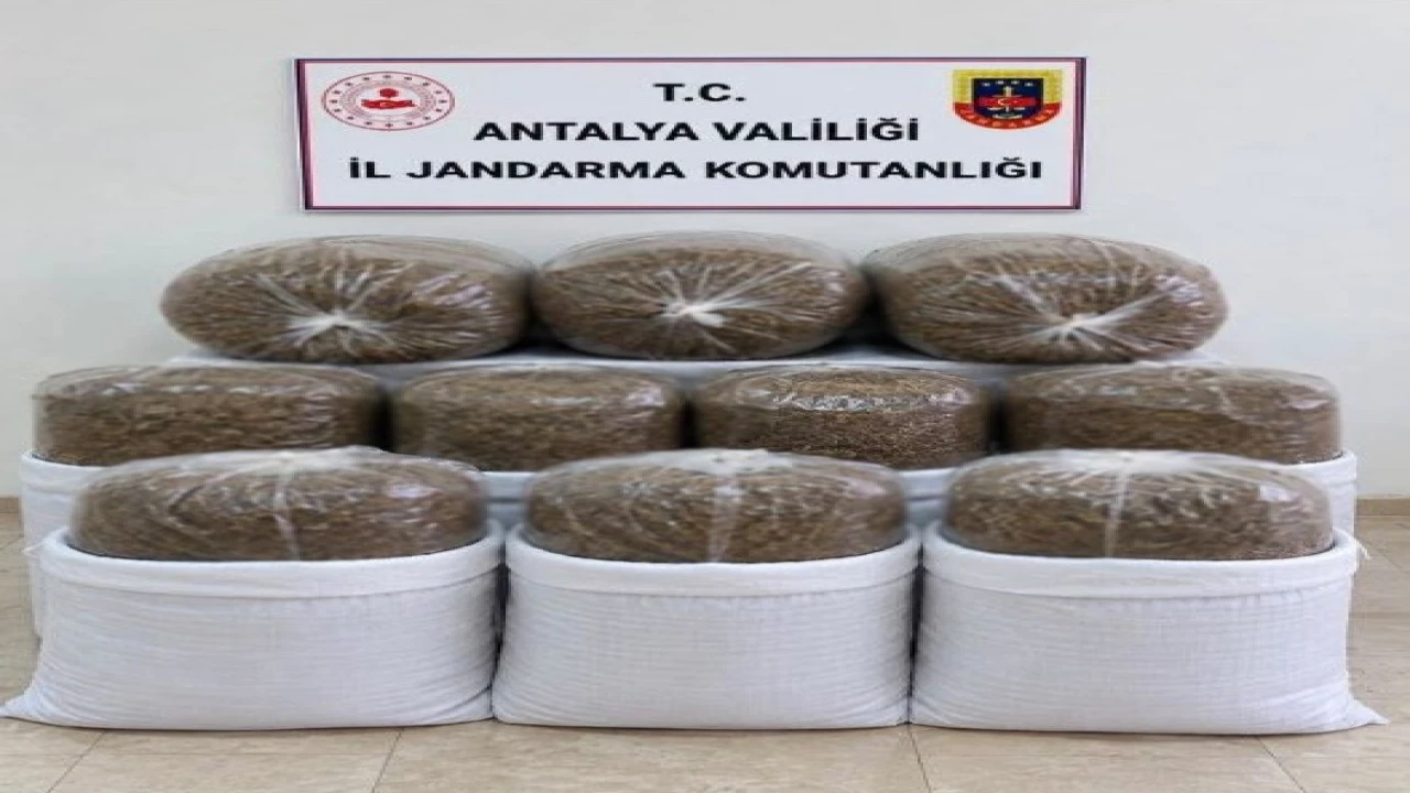 Antalyada üç ilçede kaçak tütün operasyonu: 400 kilogram tütün ele geçirildi