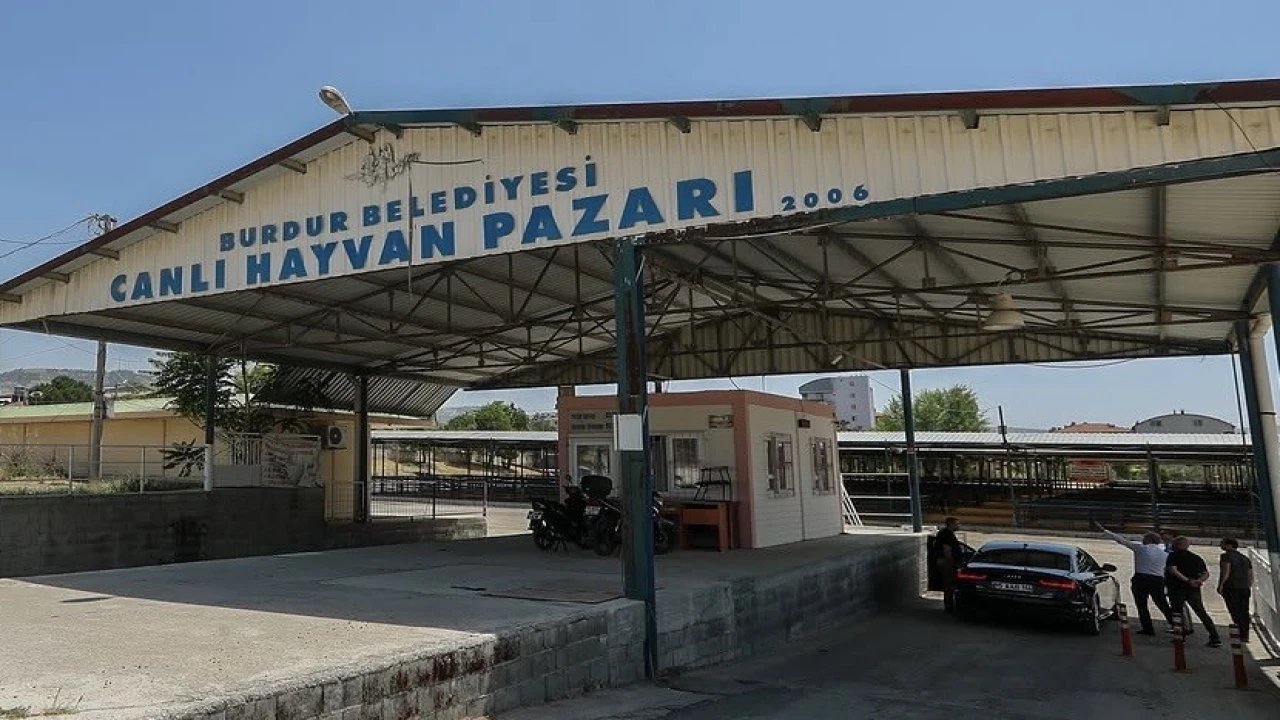 Burdurda hayvan pazarı şap hastalığı nedeniyle geçici olarak kapatıldı