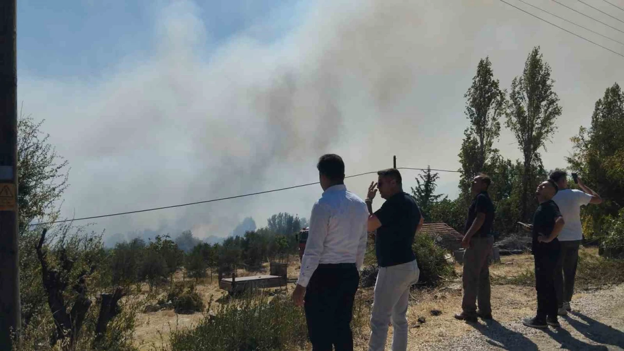 Burdurda orman yangını