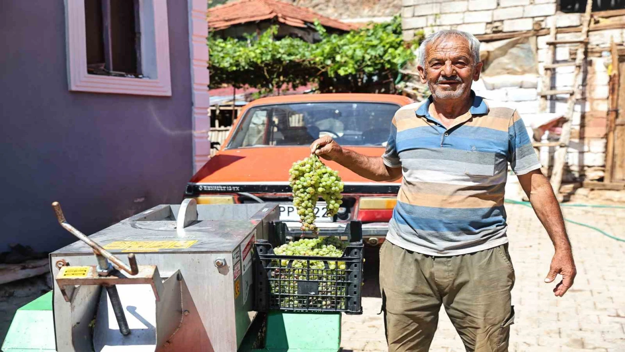 Büyükşehirden üzüm üreticilerine makine desteği