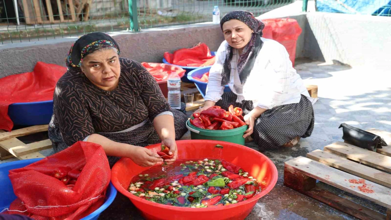 Damlar şarkılı türkülü salça mesaisi ile kırmızıya boyandı
