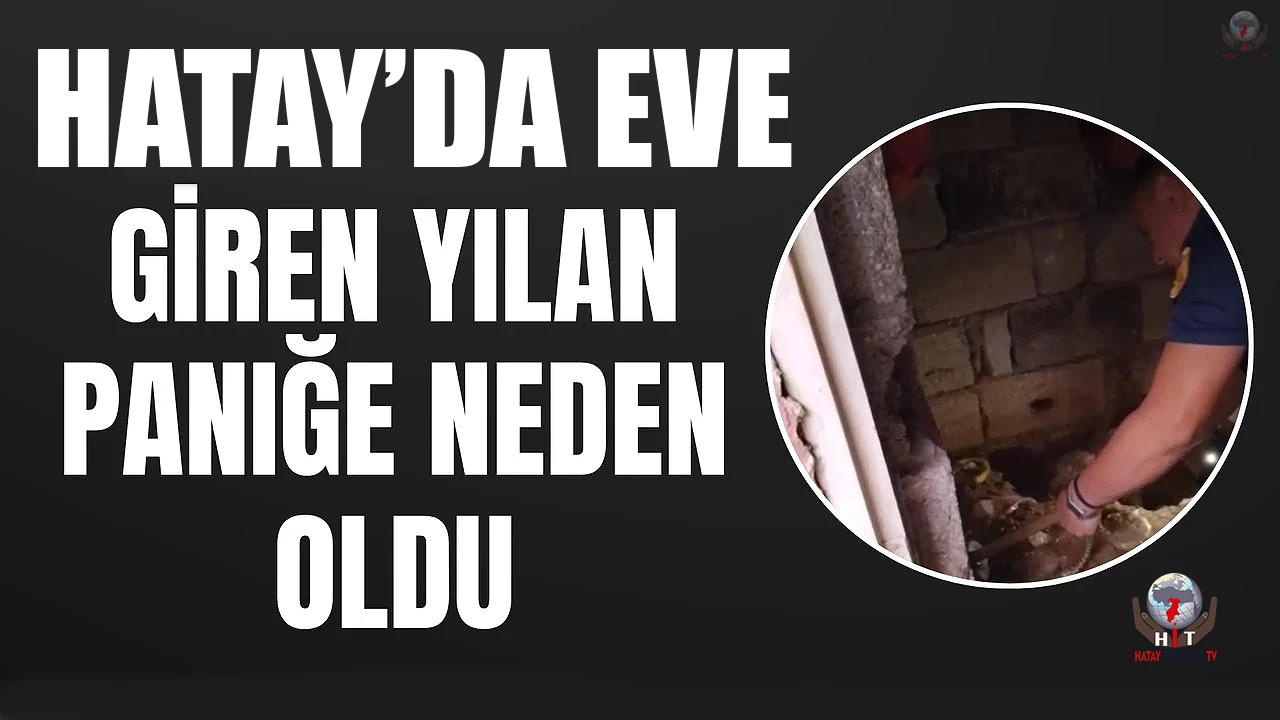 Erzinde eve giren yılan yakalandı