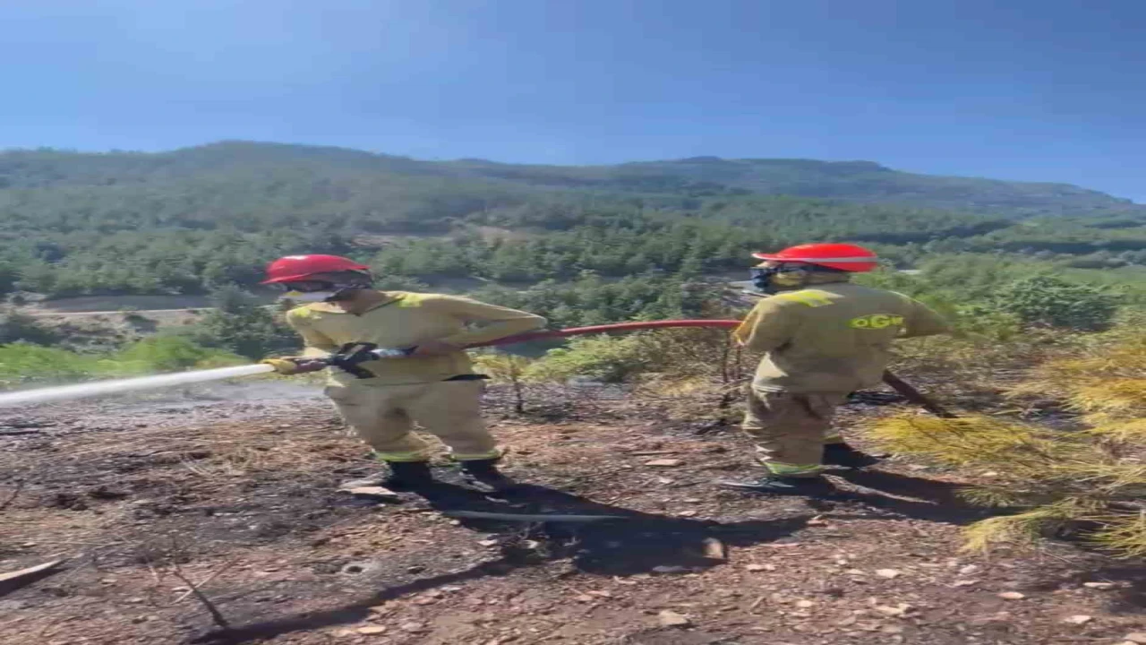 Fekede orman yangını: 1 helikopter ile müdahale ediliyor