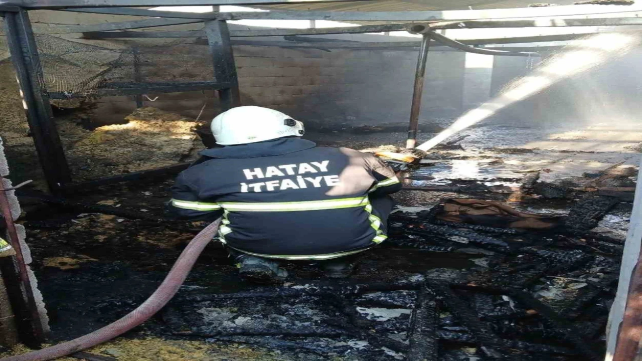 Hassada ev ve ahır yandı