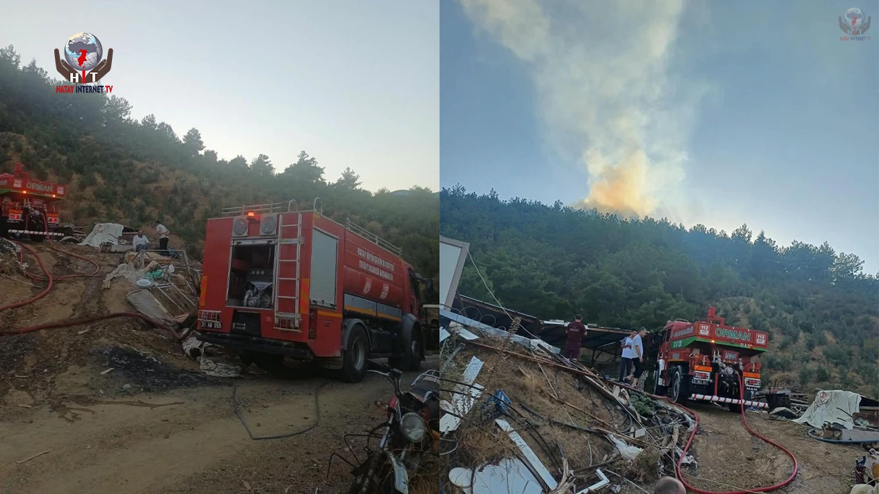 Hassada ormanlık alan yangını kontrol altına alındı
