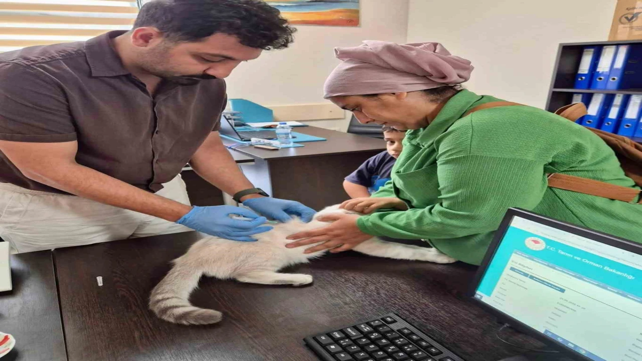 Hatayda kuduz aşılama çalışmaları sürüyor