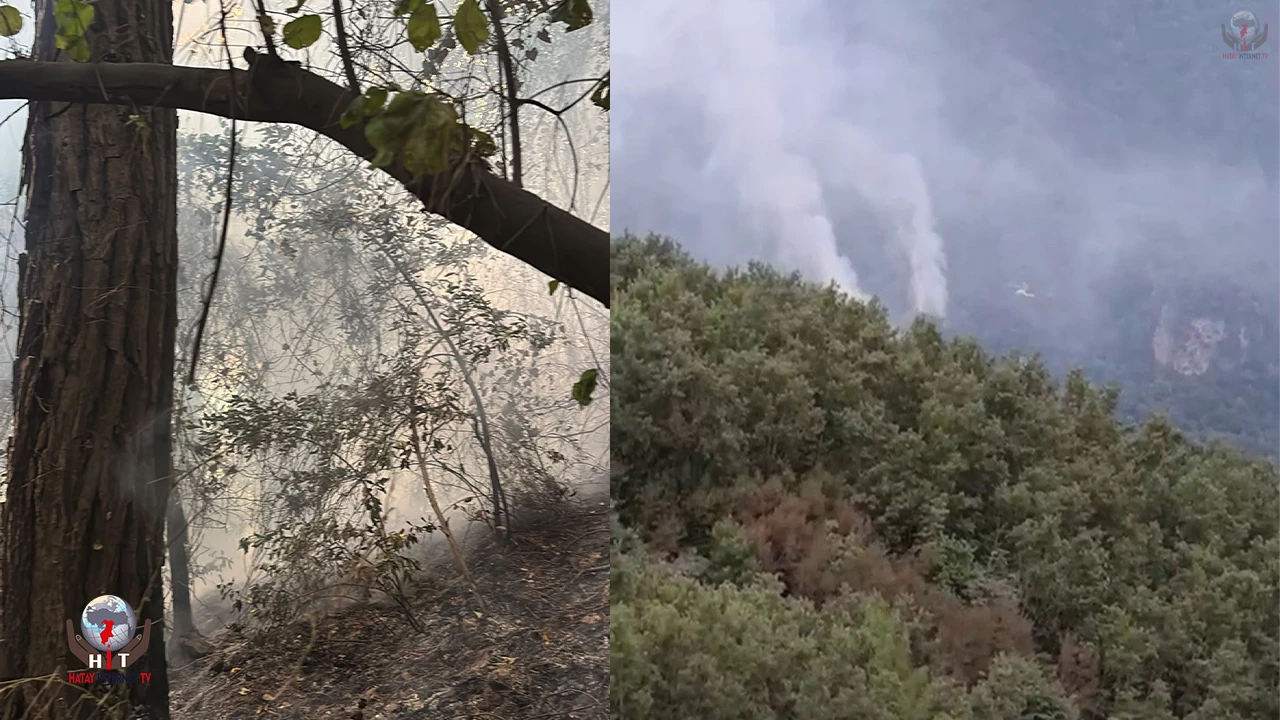 Hataydaki orman yangınının enerjisi düşürüldü