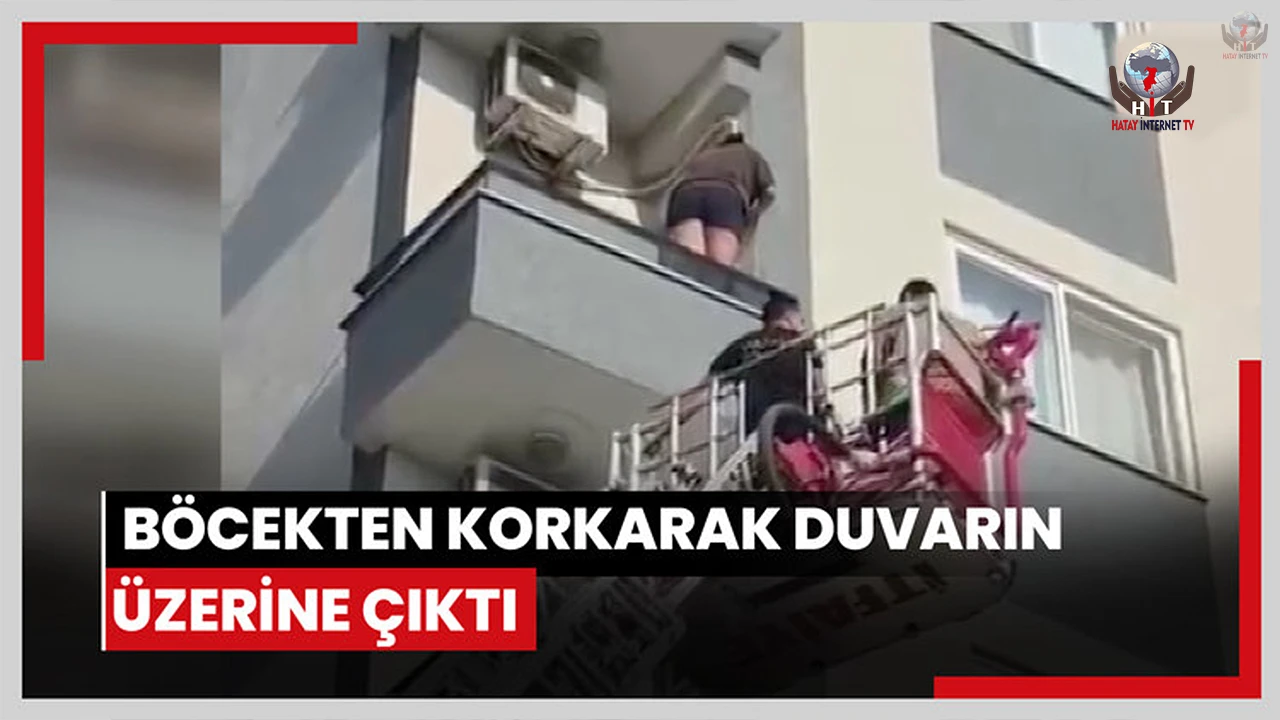 Herkes intihar sandı ama gerçek başka çıktı! Böcek korkusu canından ediyordu