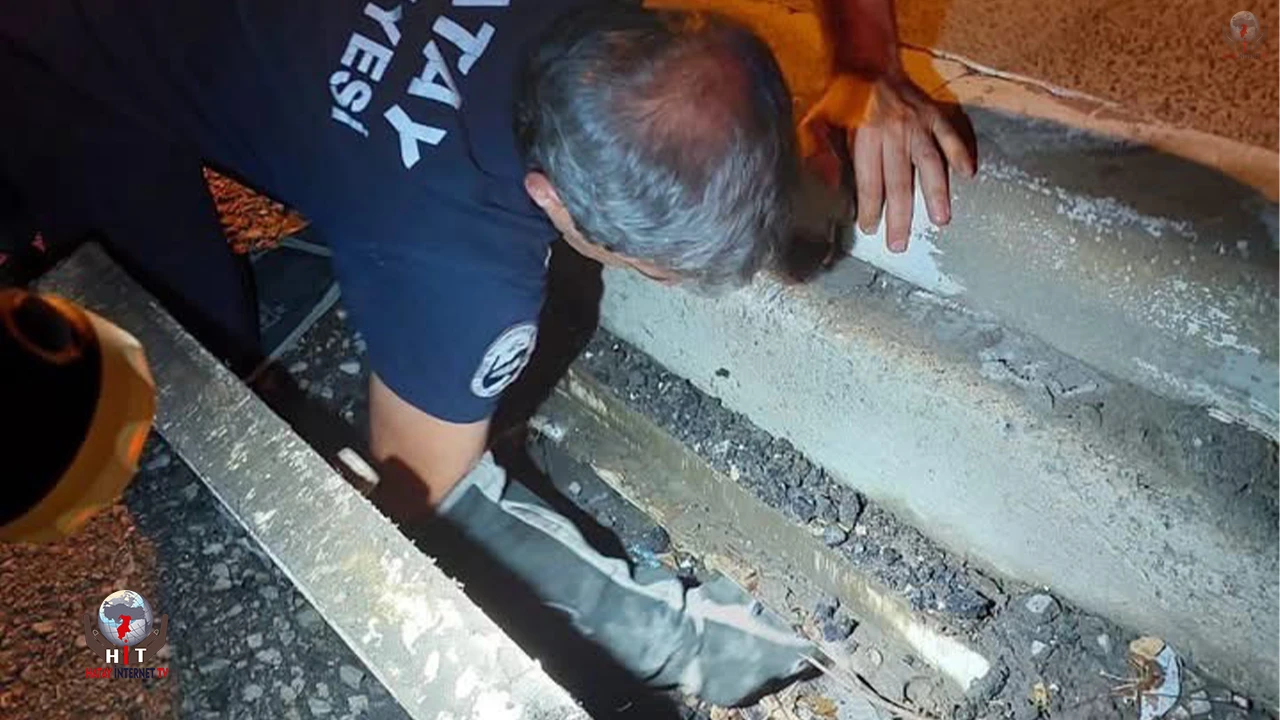 İskenderunda mahsur kalan hayvanlar ekipler tarafından kurtarıldı