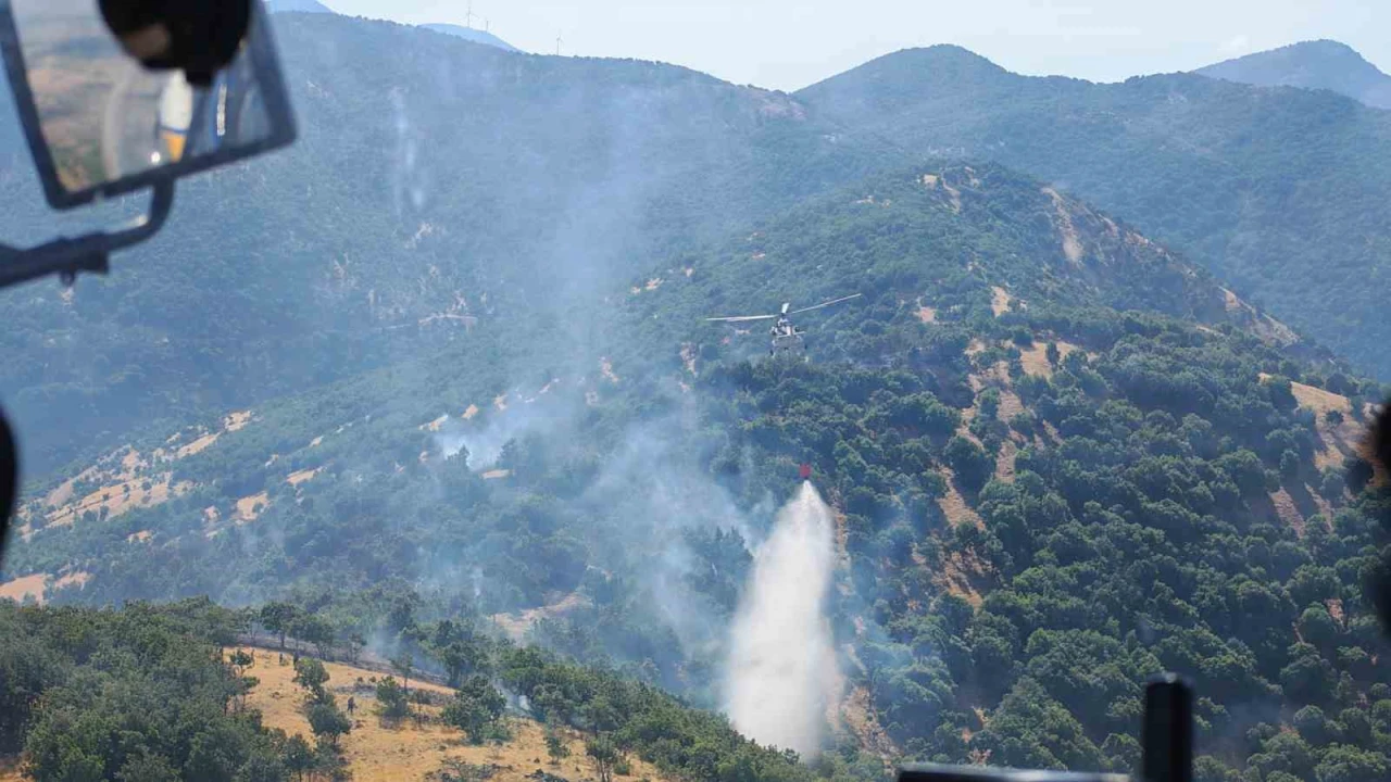 Kahramanmaraştaki orman yangınları söndürüldü