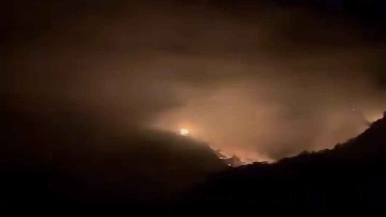 Karaisalıda ormanlık alanda yangın