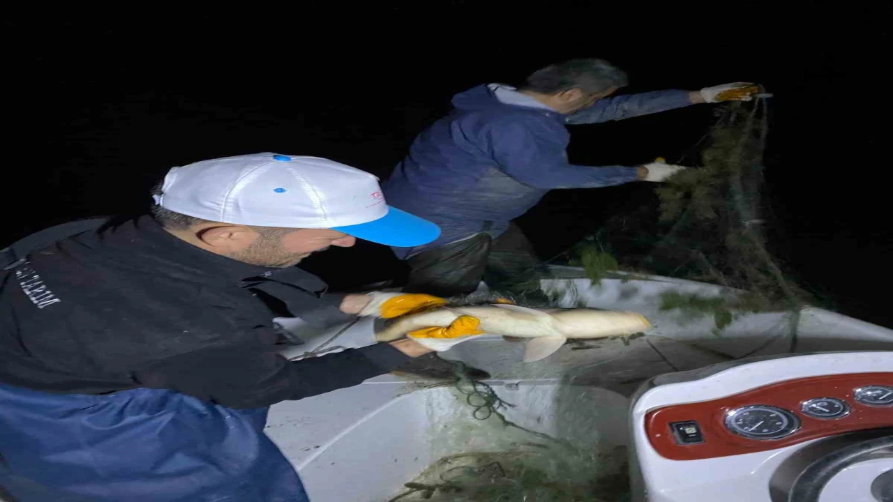 Kovada Gölünde kaçak avcılığa gece denetimi