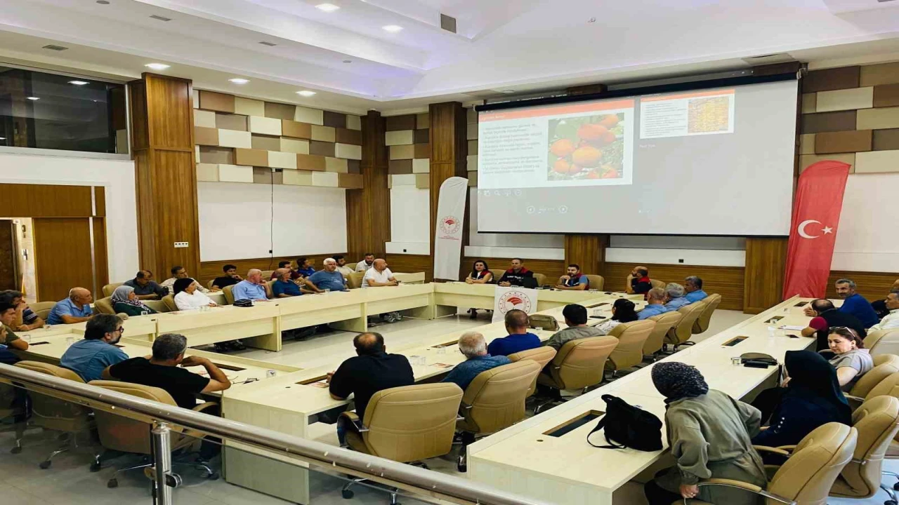 Kozan hurmasında hijyen seferberliği