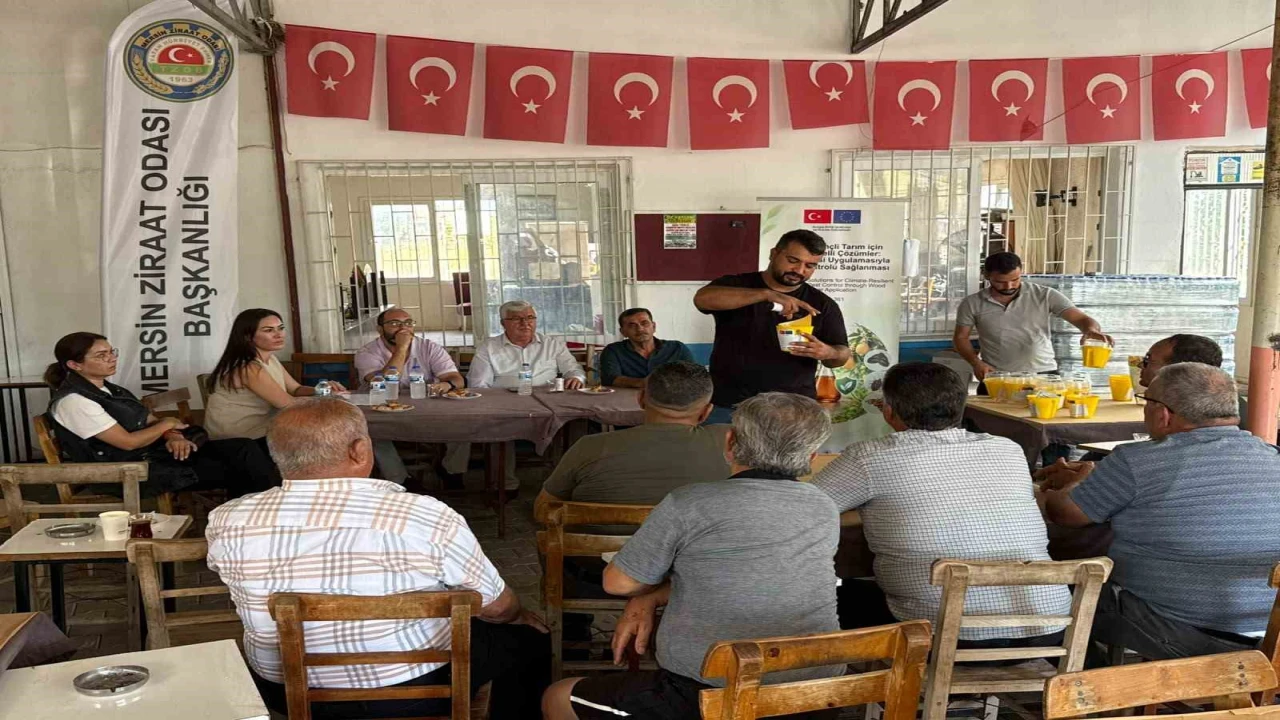 Mersinde çiftçilere Akdeniz meyve sineğiyle mücadele eğitimi