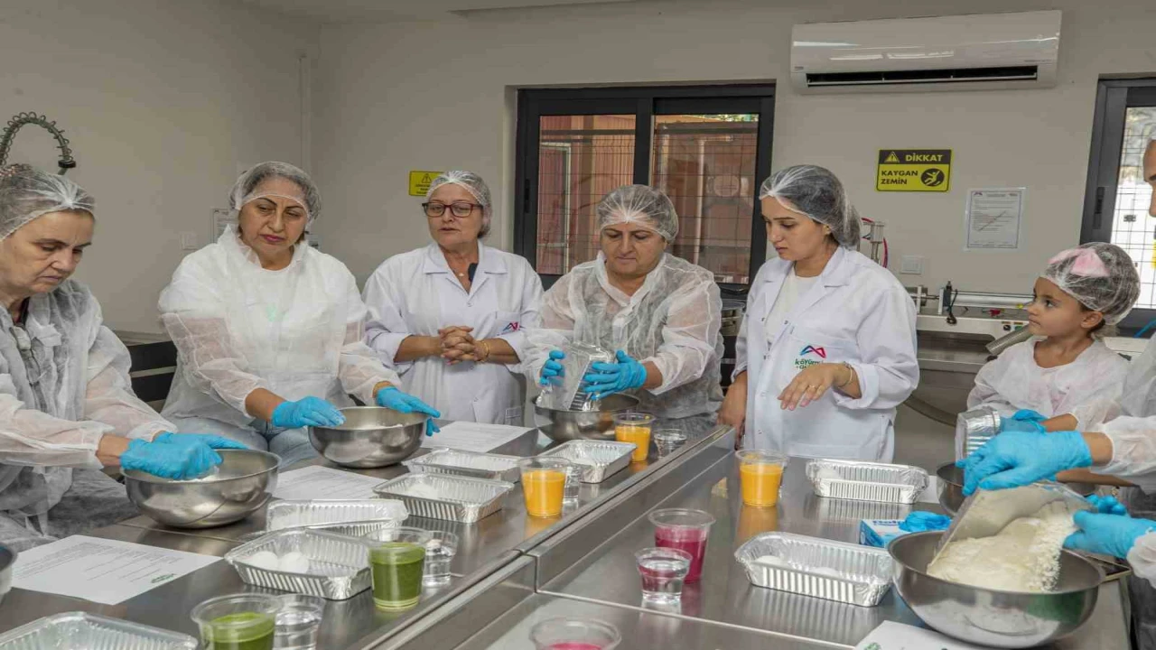 Mersinde doğal özlerle 3 renkli erişte yaptılar