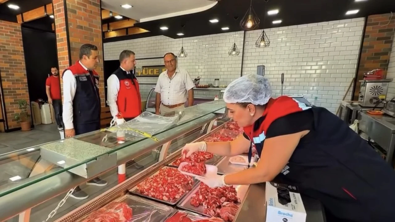Mersinde eş zamanlı gıda denetimi