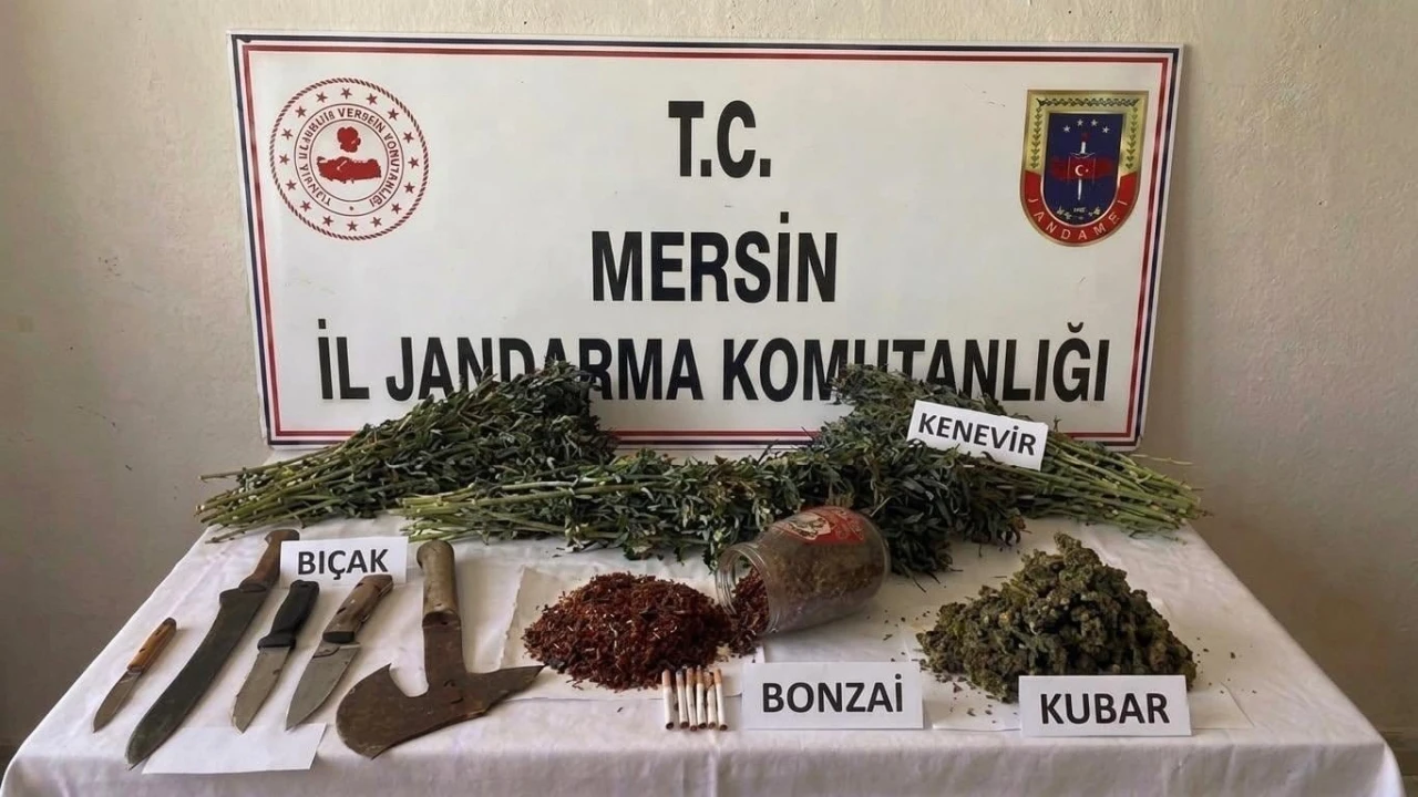 Mersinde uyuşturucu operasyonu: 1 tutuklama