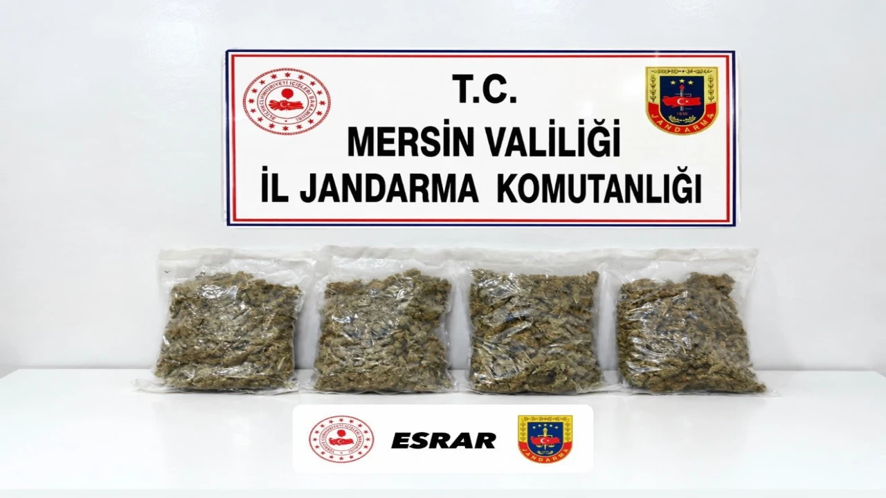 Mersinde uyuşturucu operasyonu: 2 gözaltı