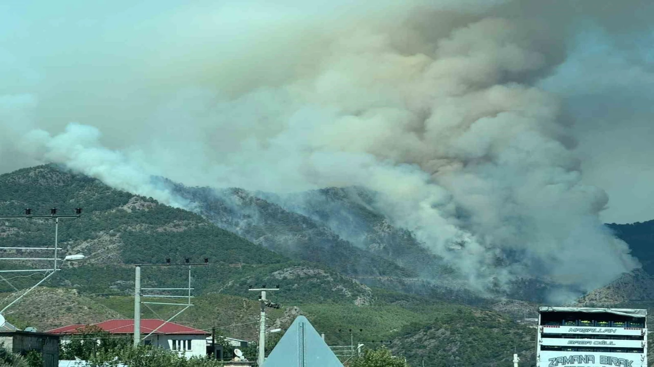 Mersindeki orman yangını sürüyor