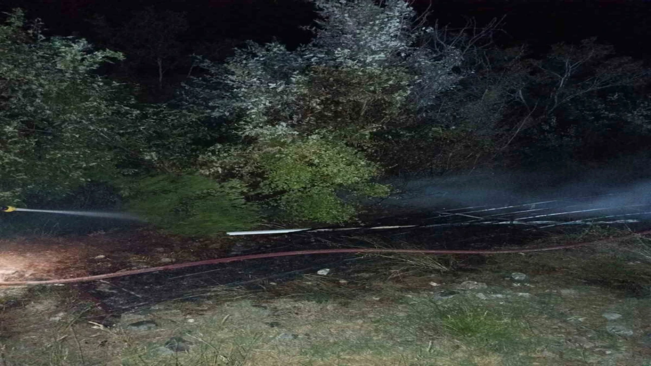 Osmaniyede çıkan orman yangını büyümeden söndürüldü