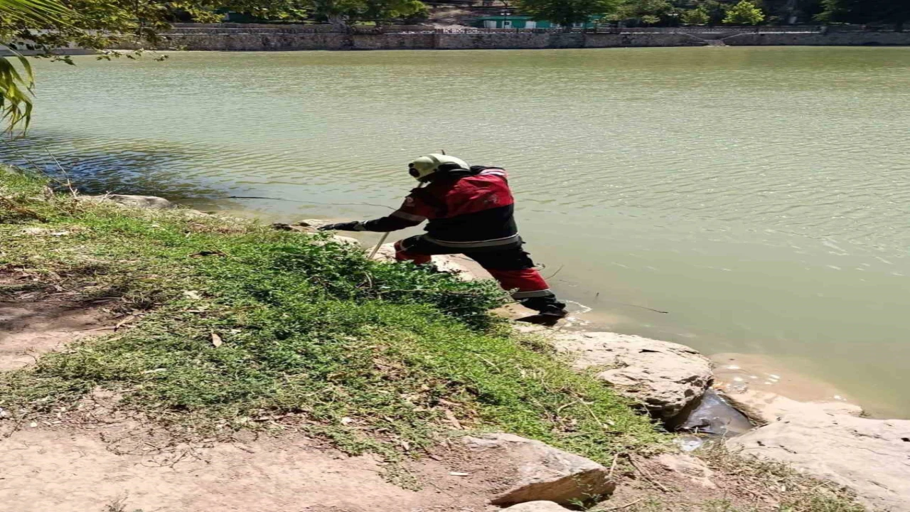 Reyhanlıda göl kenarında görülen yılan yakalandı