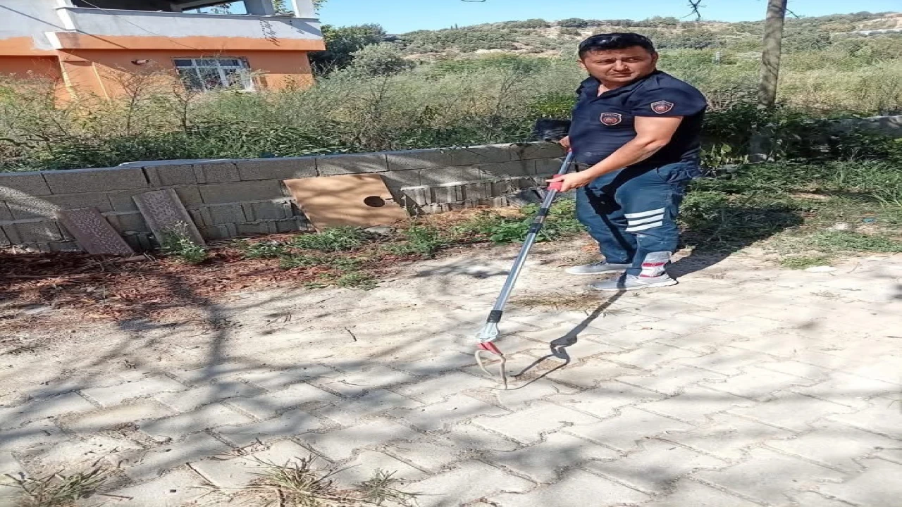 Samandağda yerleşim yerinde görülen yılan yakalanarak doğaya bırakıldı