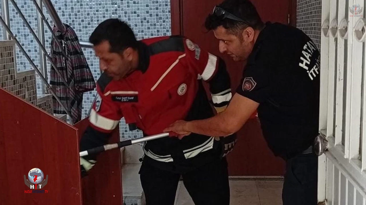 Samandağda yerleşim yerinde görülen yılan yakalanarak doğaya bırakıldı