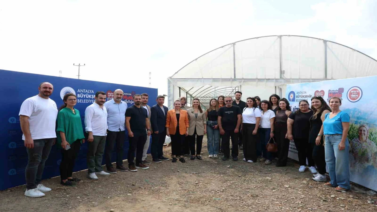 Serikli üreticilere don nöbetini sonlandırmak için dijital sensör desteği