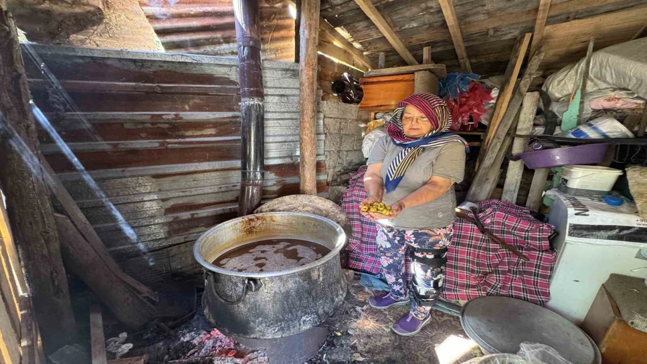 Torosların taş eriği sofralara iniyor 10 kilo erikten 1 kilo ekşi çıkıyor kilogramı 500 liradan satılıyor