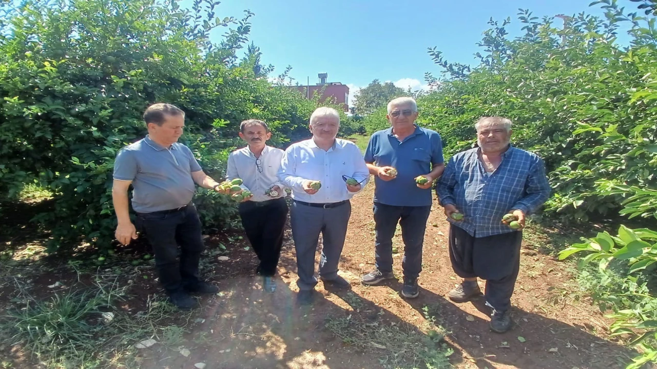 Yüreğirde dolu afeti: Yaklaşık 35 bin dönüm tarım alanı zarar gördü
