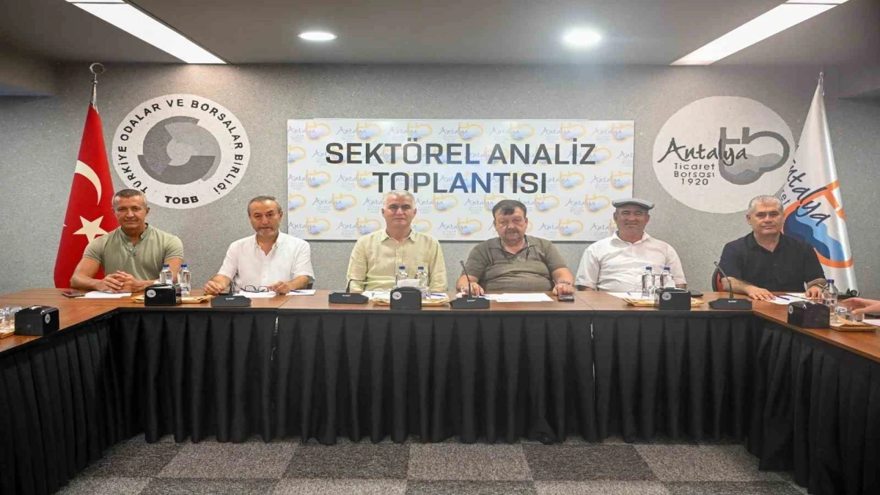 Zeytinde rekolte beklentisi yüzde 40 arttı