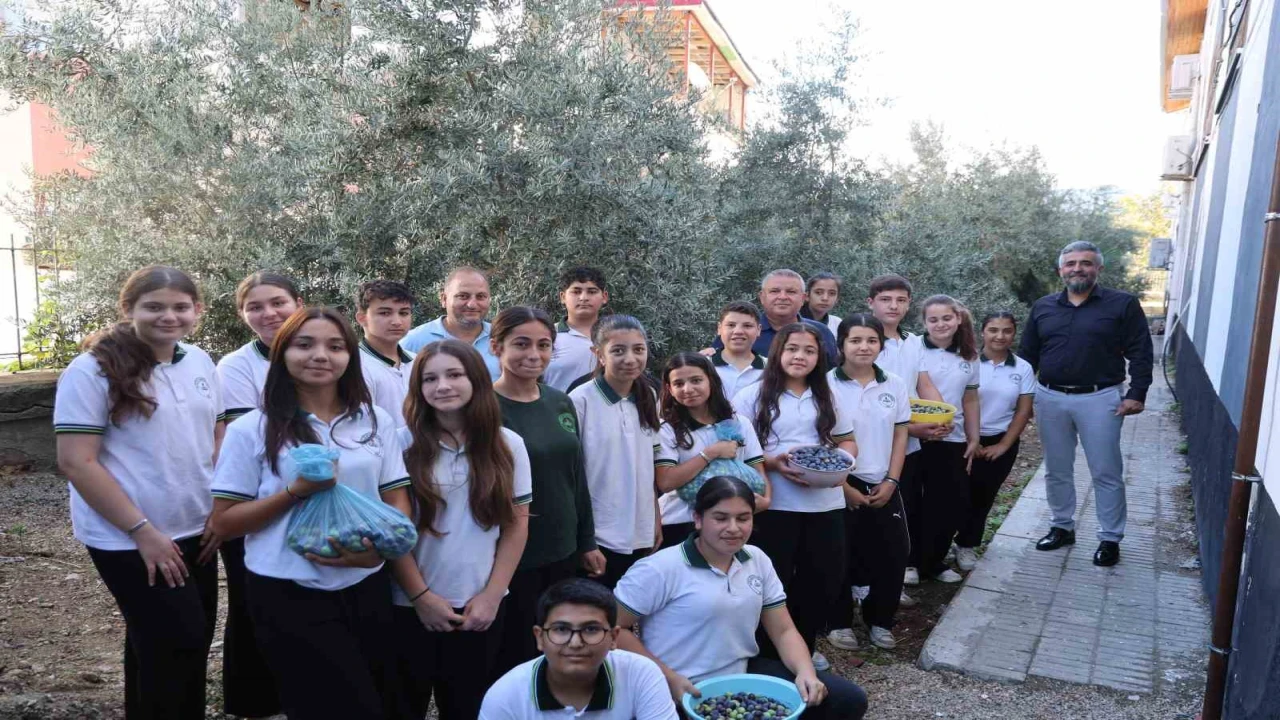 Adanada öğrenciler 1. sınıfta diktikleri zeytinlerin 8. sınıfta hasadını yaptılar